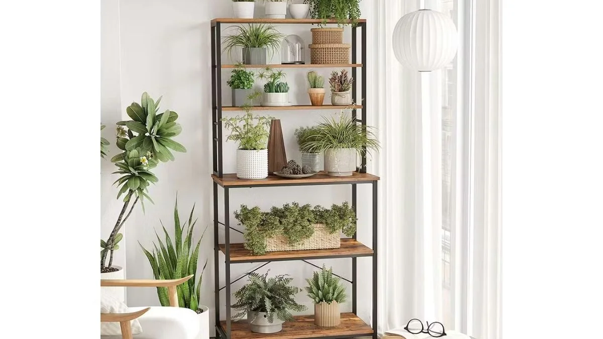 Ladder Shelf Plant Display
