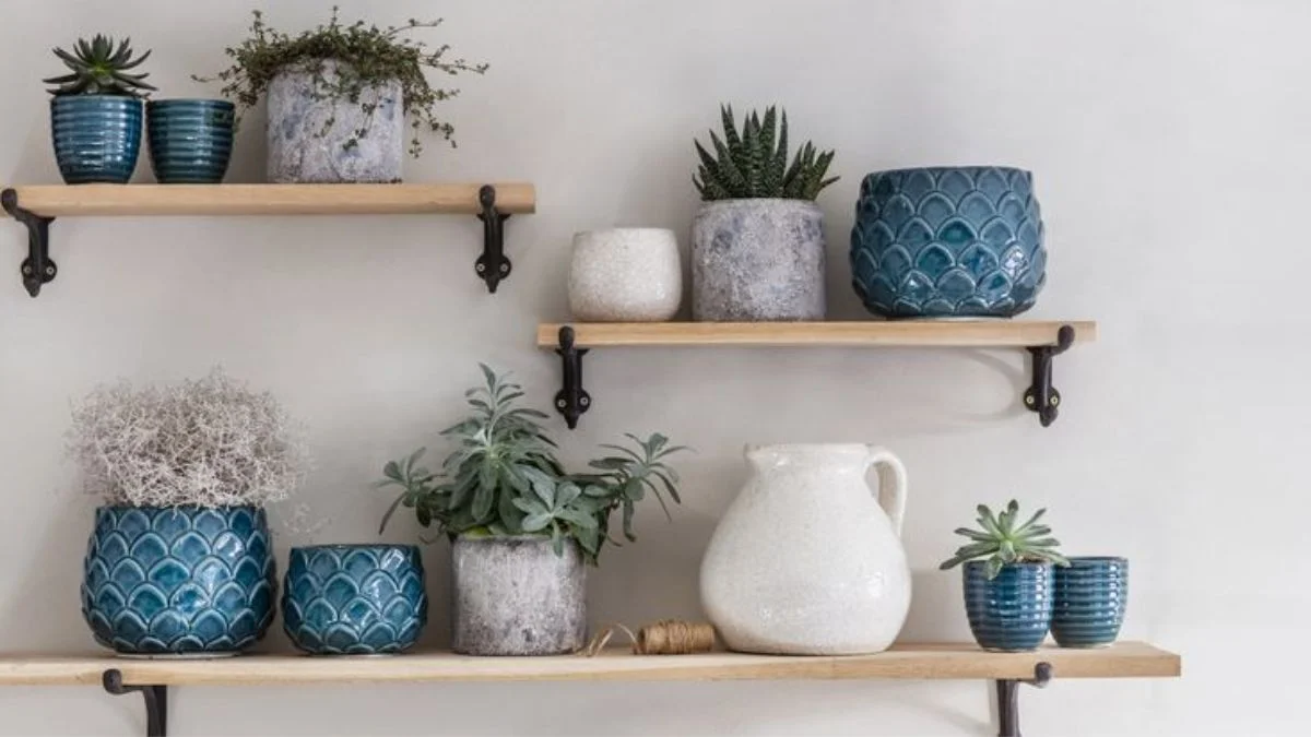 Small Potted Plants on Open Shelves