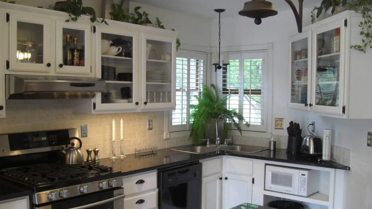 Why Kitchens Are Great for Beginner Plants