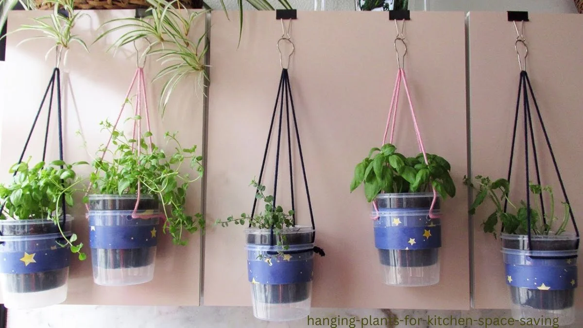 hanging plants for kitchen space saving