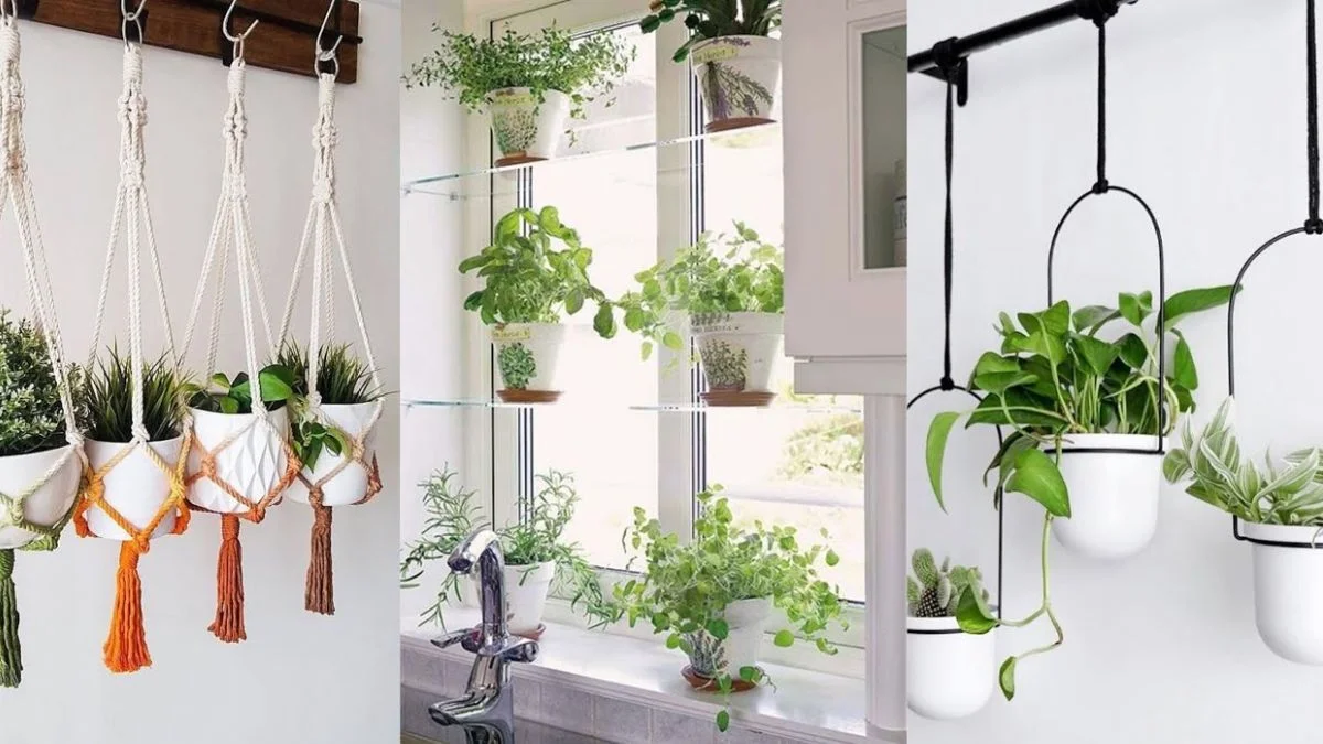 Why Choose Hanging Plants for Kitchen Space Saving?