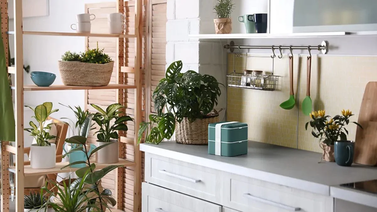 Styling Ideas for Kitchen Edible Plants