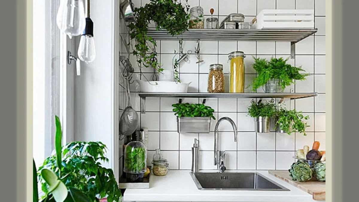 Styling Tips for Small Kitchen Plant Decor