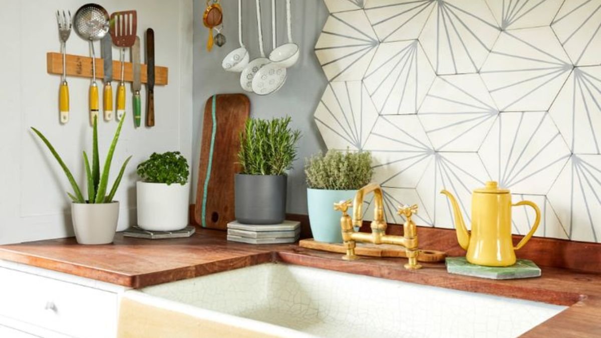 Styling Ideas for Kitchen Plants