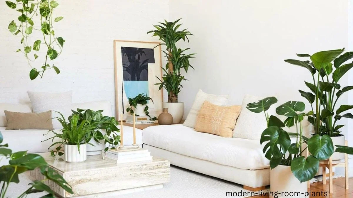 modern living room plants