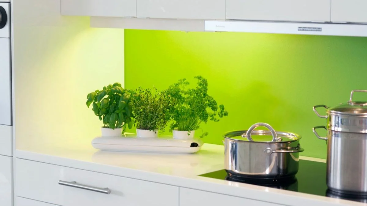 Style Small Plants on a Kitchen Counter