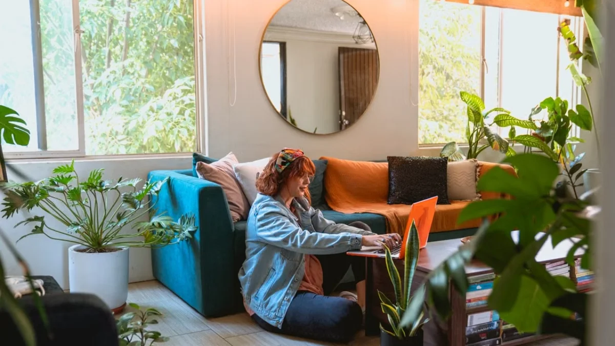 indoor plant decor ideas for small apartments on a budget