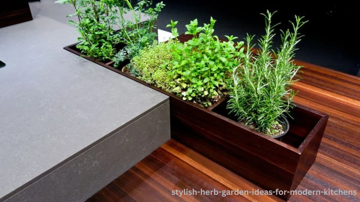 stylish herb garden ideas for modern kitchens