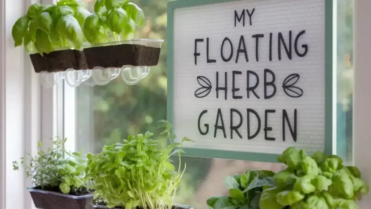Floating Shelf Herb Garden