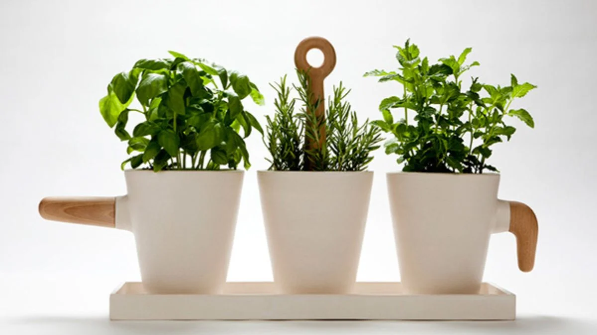 Modern Ceramic Herb Pots