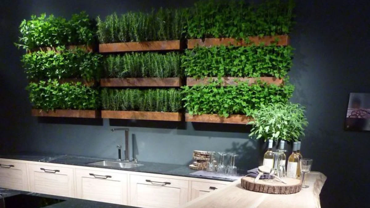 Vertical Wall Herb Garden