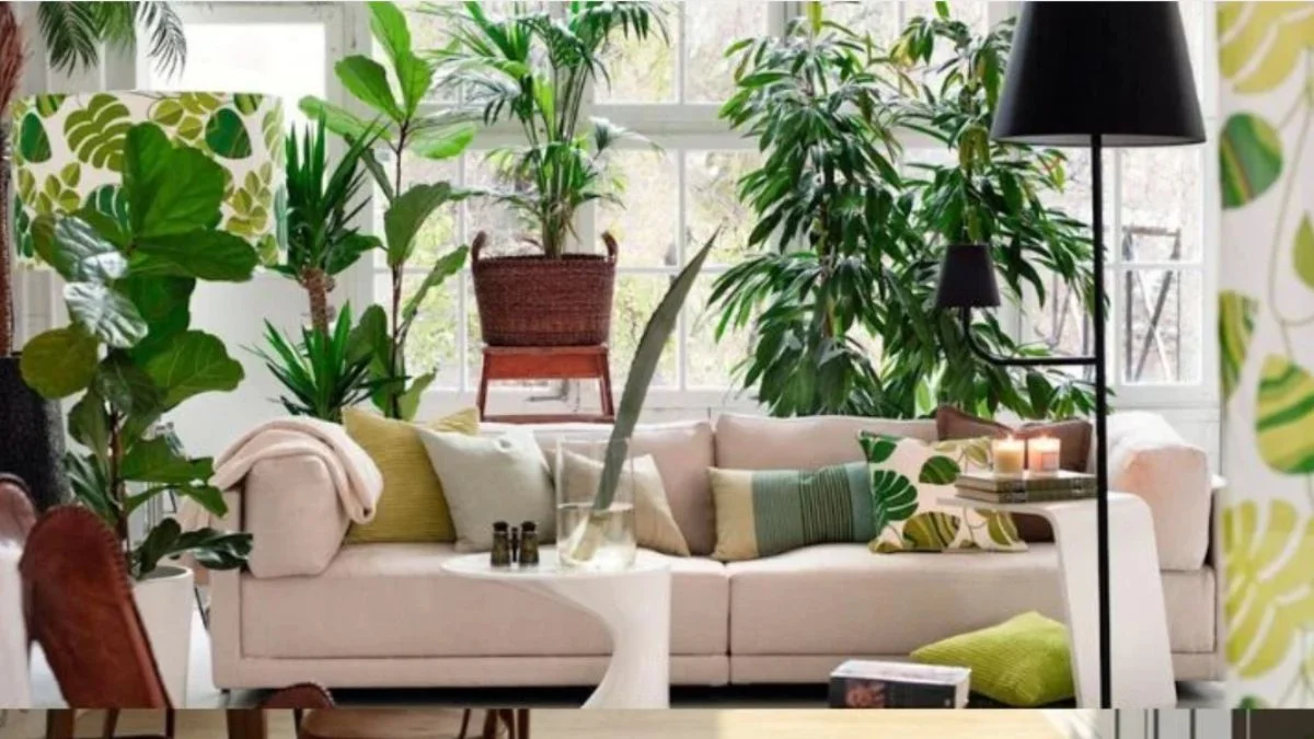 Style Plants Around Your Sofa