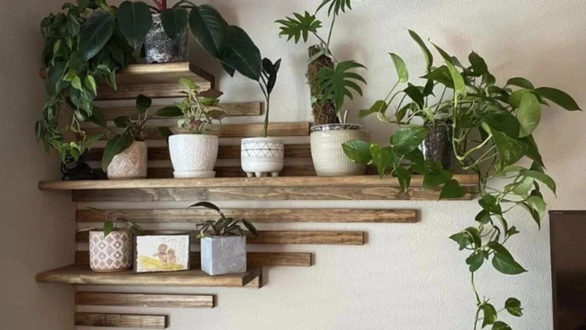 Style Plants with Shelves
