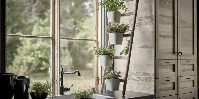 Tips for Placing Indoor Plants in Small Kitchens