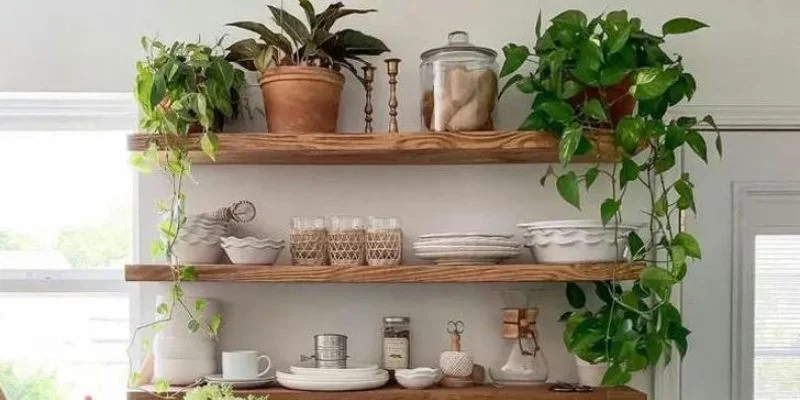 Choosing Low-Maintenance Indoor Plants for Small Kitchens