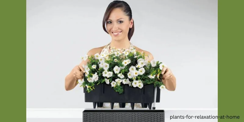 plants for relaxation at home