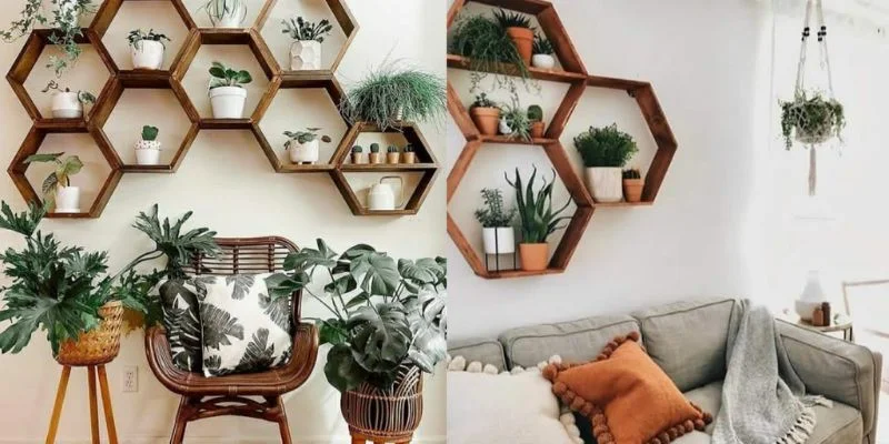 Plant Stands for a Modern Look