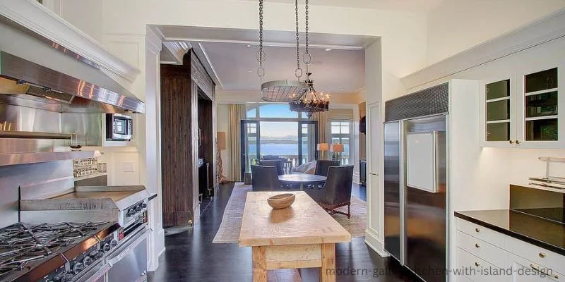 Kitchen Galley With Adjacent Spaces and Island