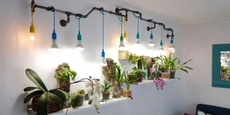 Top Indoor Plants That Thrive in Artificial Light