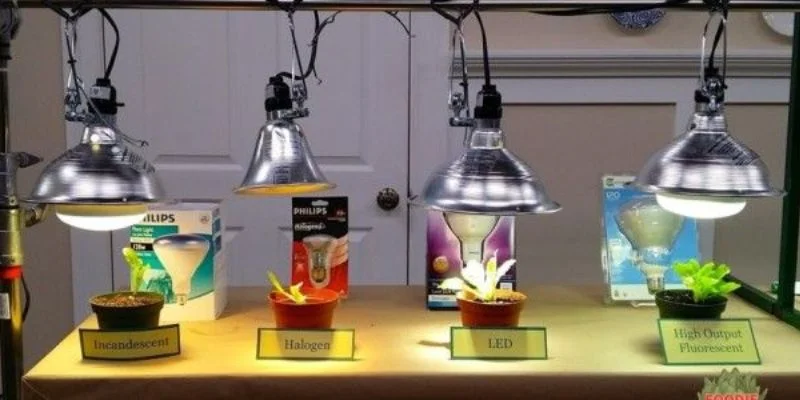 Kind of Artificial Light Is Best for Plants