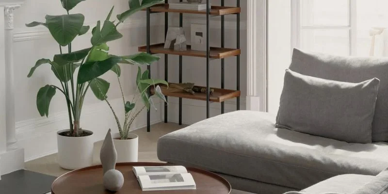 Minimalist styling neutral plant