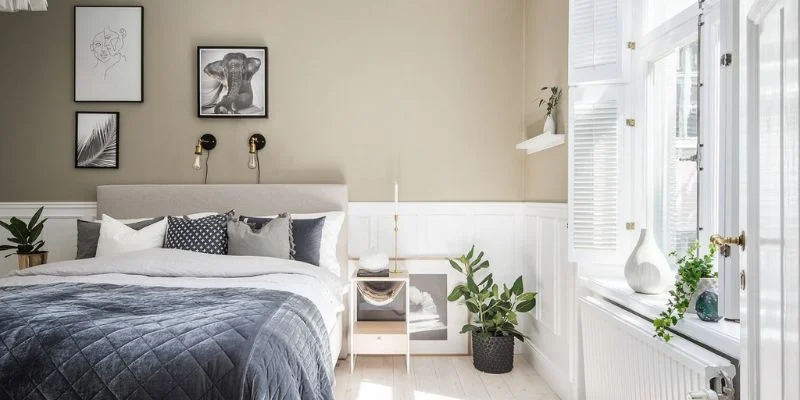 air cleaning plants for the bedroom