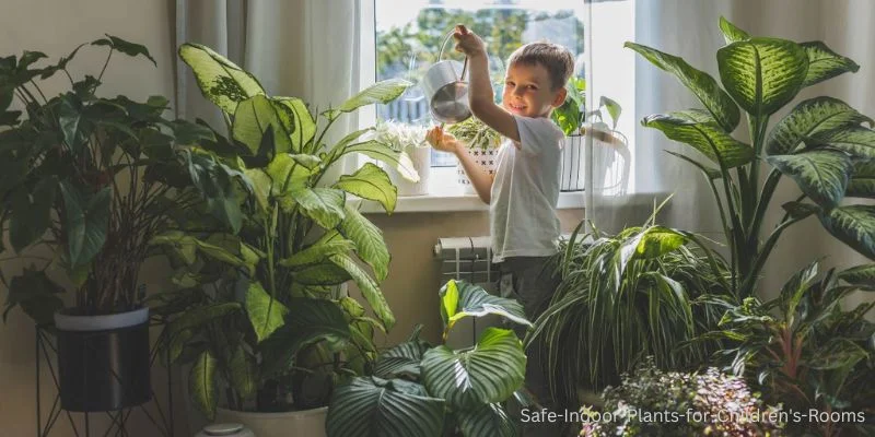 Safe Indoor Plants for Children's Rooms