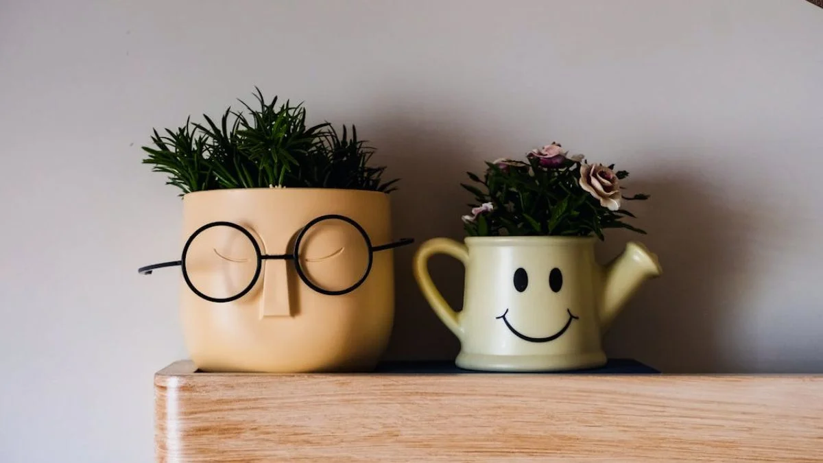 Ceramic planters remain one of the Best Indoor Plant Pots