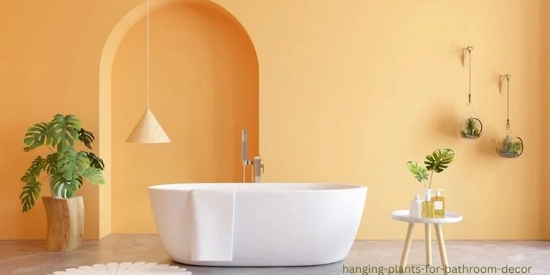 Hanging Plants for Bathroom Decor