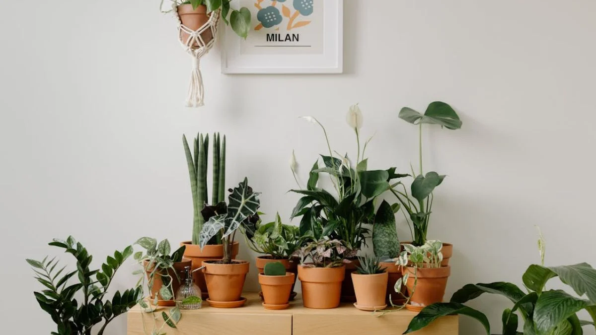 Choose Beginner-Friendly Indoor Plants