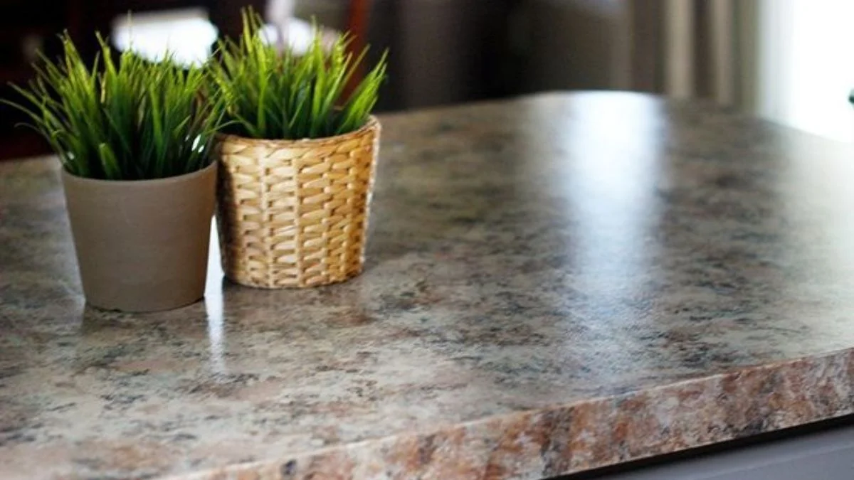 Why Kitchen Countertop Plants Are a Smart Choice