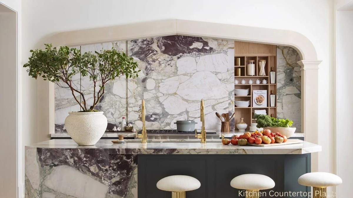 Kitchen Countertop Plants