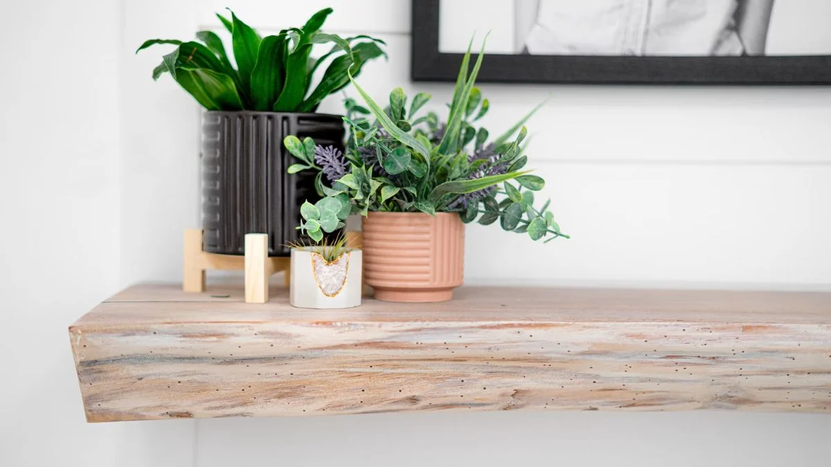 How to Choose the Right Shelf for Indoor Plants