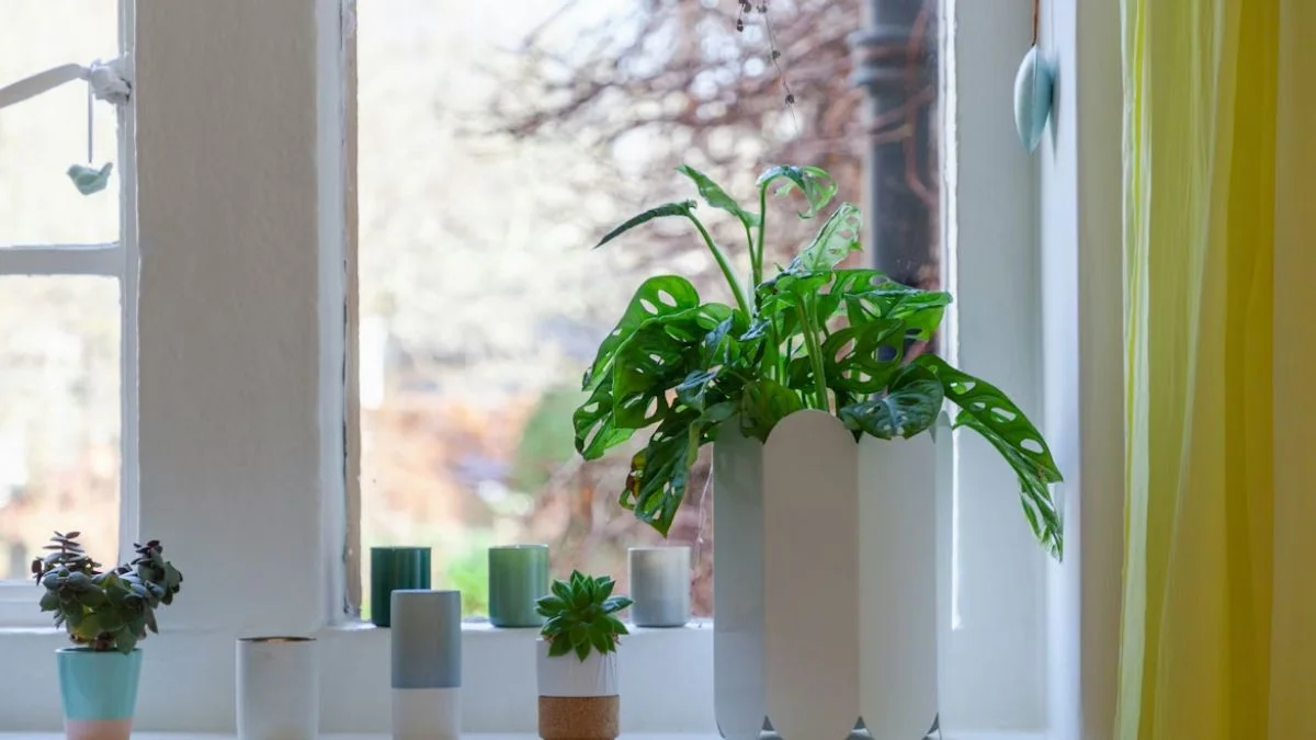 Indoor Plants Are Perfect for Apartment Living