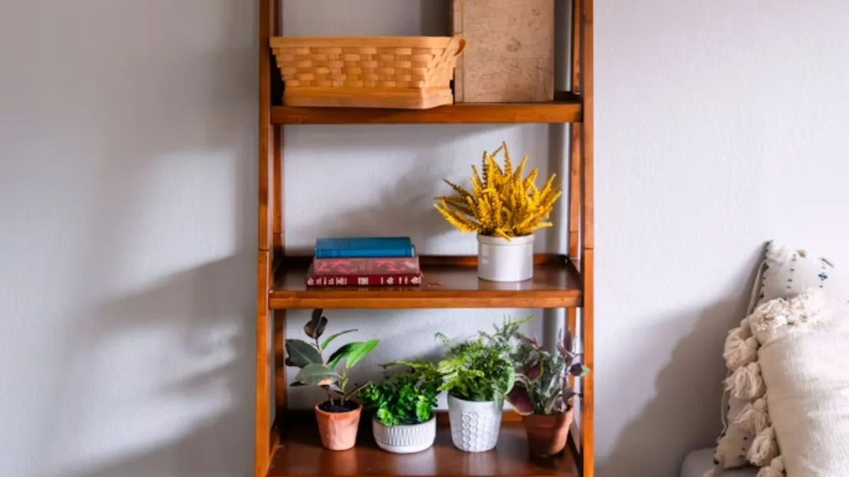 Ladder Shelves for Vertical Plant Styling