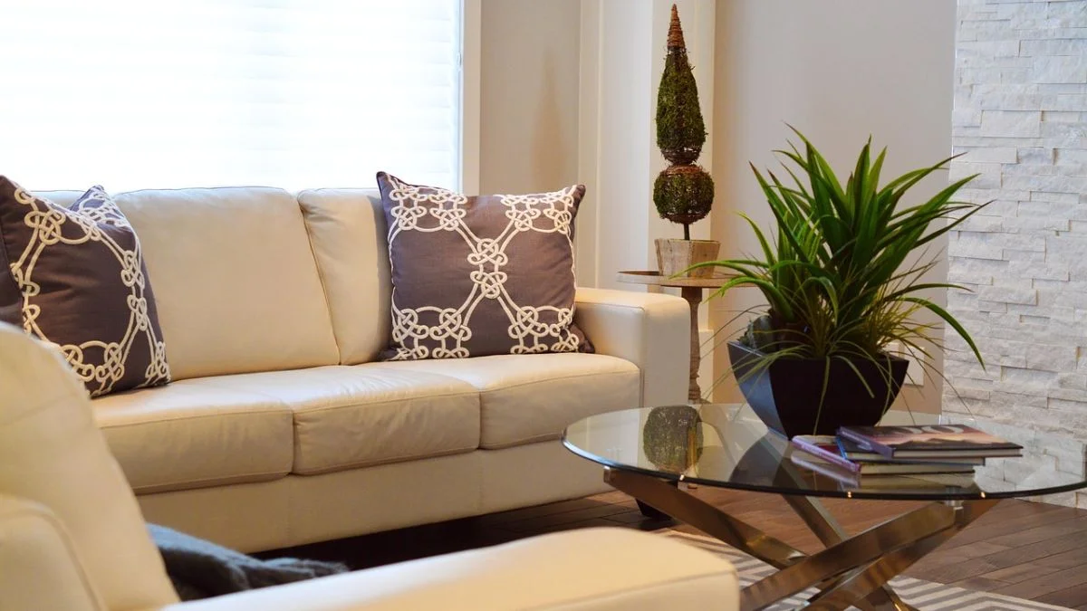 Indoor Plants for Minimalist Home Decor serve as natural design