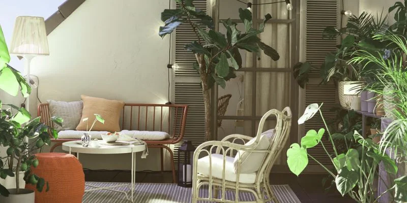 These carefully selected plants bring greenery to your home without needing direct sunlight.