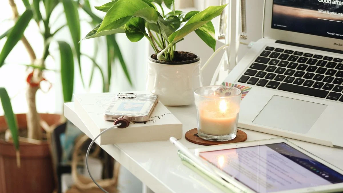 best indoor plants for home office - pothos plant on desk with laptop