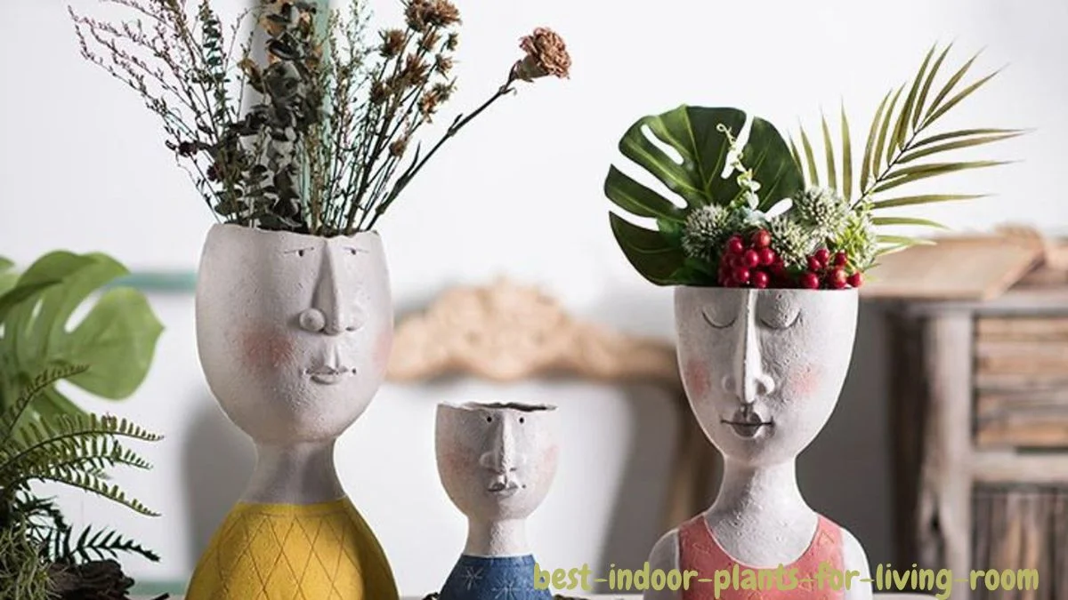 Best Indoor Plants for Living Room