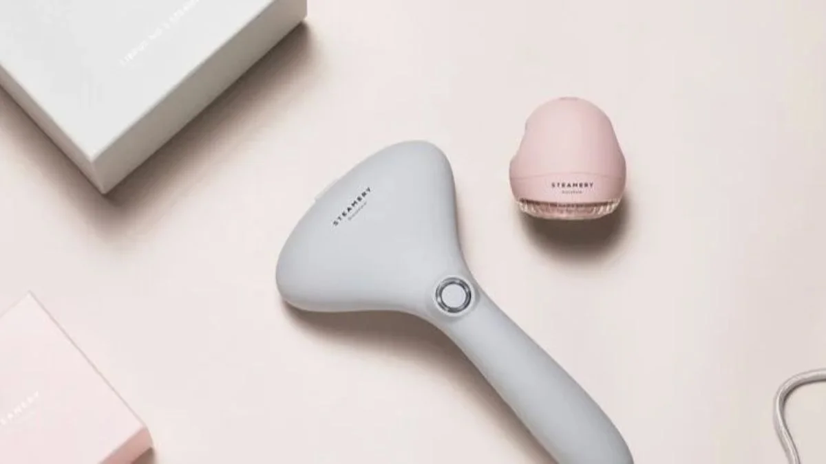 How to Choose the Best Lint Ball Remover