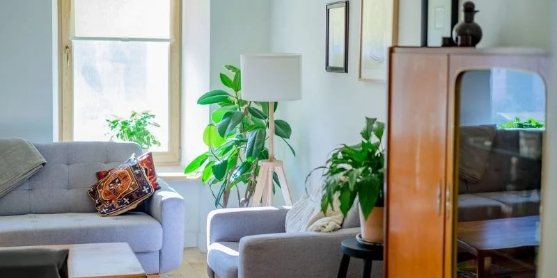 Indoor Plant Corners Work So Well in Small Living Rooms