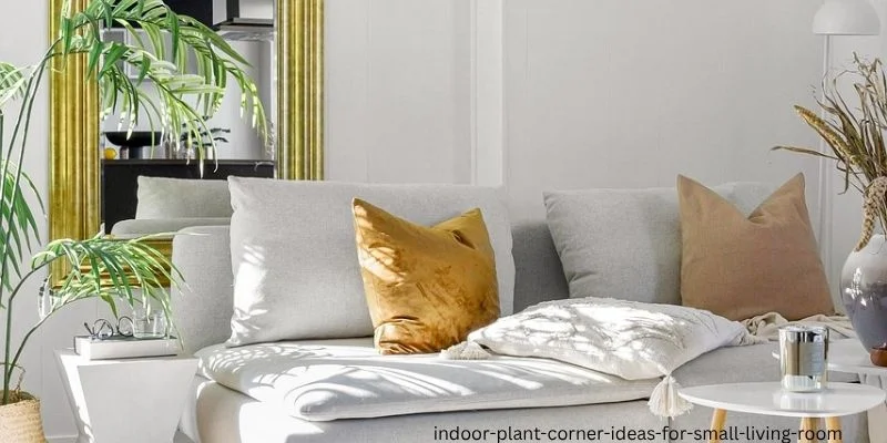 indoor plant corner ideas for small living room