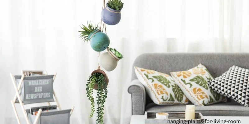 hanging plants for living room