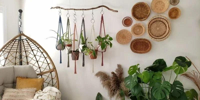 Best Pots & Hangers for Hanging Plants