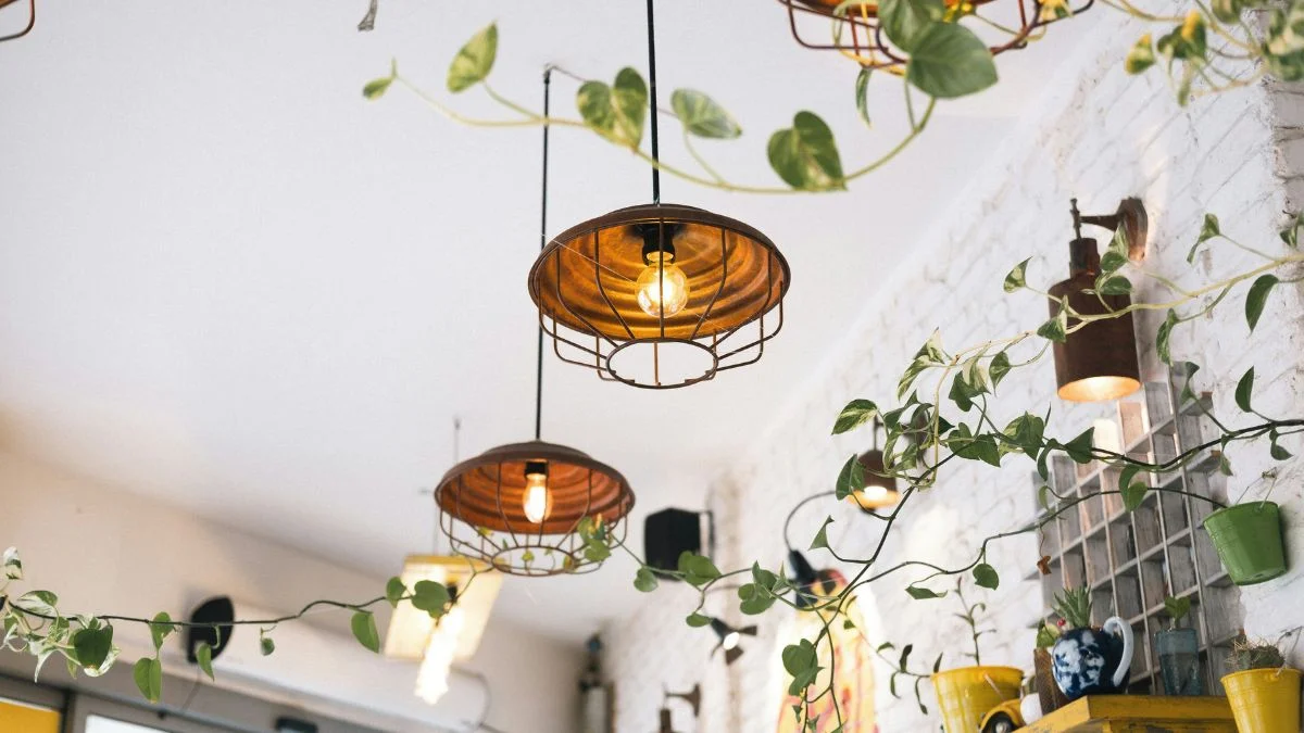 Accent lighting ideas with warm decorative pendant fixtures and trailing plants for a cozy home