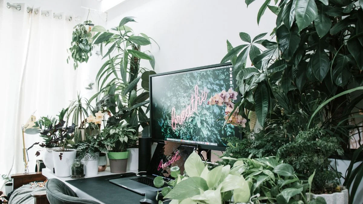 lush indoor plants surrounding home office desk with monitor