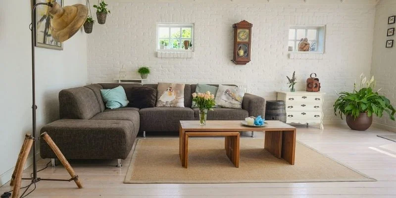 Benefits of Styling Indoor Plants in Living Room