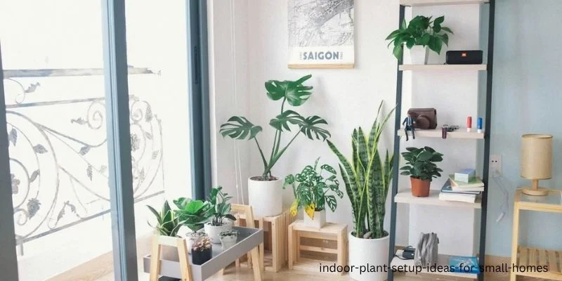 indoor plant setup ideas for small homes