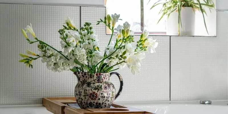 Minimalist Single Plant Focus
Sometimes less is more. A single well-placed plant can make a strong design statement without overwhelming the space.