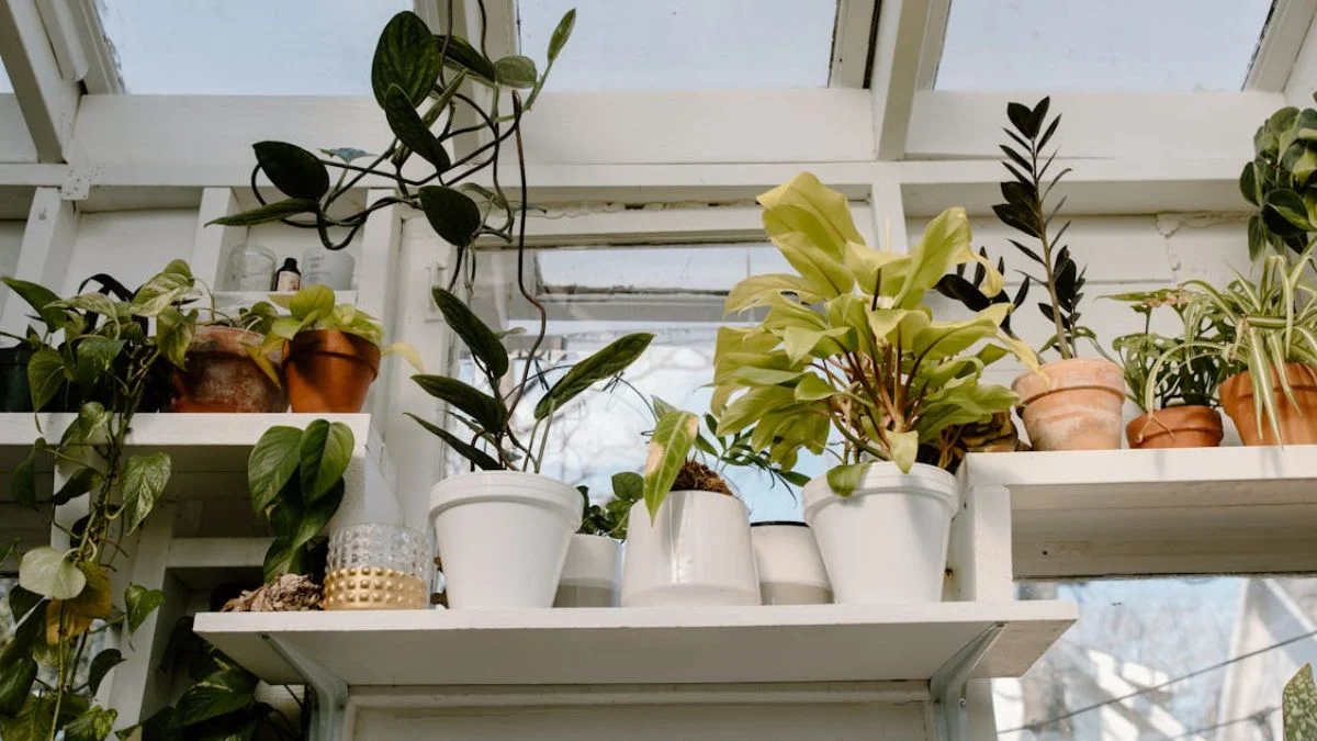  Style Open Shelving With Greenery